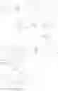 Fig. 248 - Tetracycline compounds