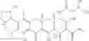 Fig. 25 - Tetracycline compounds