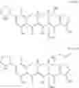Fig. 427 - Tetracycline compounds