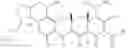 Fig. 492 - Tetracycline compounds