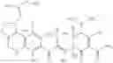 Fig. 504 - Tetracycline compounds