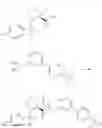 Fig. 502 - Substituted heterocyclic sulfonamide compounds useful as TRPA1 modulators