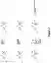 Fig. 04 - PYRAZOLE DERIVATIVES AS MODULATORS OF THE 5-HT2A SEROTONIN RECEPTOR USEFUL FOR THE TREATMENT OF DISORDERS RELATED THERETO