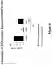 Fig. 07 - PYRAZOLE DERIVATIVES AS MODULATORS OF THE 5-HT2A SEROTONIN RECEPTOR USEFUL FOR THE TREATMENT OF DISORDERS RELATED THERETO