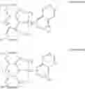Fig. 06 - COMPOUNDS WITH ARYLAMINE STRUCTURES
