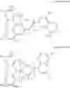 Fig. 24 - COMPOUNDS WITH ARYLAMINE STRUCTURES