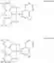 Fig. 543 - COMPOUNDS WITH ARYLAMINE STRUCTURES