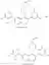 Fig. 24 - Process of making somatostatin modulators