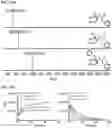 Fig. 18 - Compositions and methods for modulating protease activity