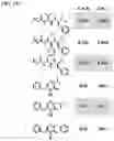 Fig. 19 - Compositions and methods for modulating protease activity