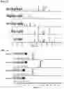 Fig. 21 - Compositions and methods for modulating protease activity