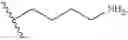 Fig. 22 - Compositions and methods for modulating protease activity
