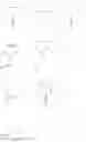 Fig. 92 - Spiro compound and use thereof