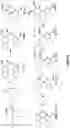 Fig. 04 - RAD51 inhibitors and uses thereof
