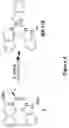 Fig. 05 - RAD51 inhibitors and uses thereof