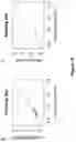 Fig. 16 - RAD51 inhibitors and uses thereof
