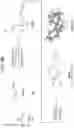 Fig. 09 - Cinchonine-derived catalysts and methods of using same