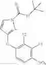 Fig. 102 - PTPN11 inhibitors