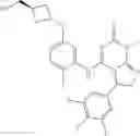 Fig. 260 - Bicyclic nitrogen-containing heterocyclic derivatives and pharmaceutical composition comprising the same