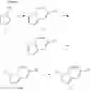 Fig. 09 - Pyrrolo[1,2-b]pyridazine derivatives