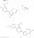 Fig. 13 - Pyrrolo[1,2-b]pyridazine derivatives