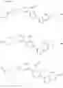 Fig. 15 - Pyrrolo[1,2-b]pyridazine derivatives