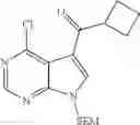 Fig. 233 - Pyrrolopyrimidine ITK inhibitors