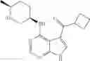 Fig. 236 - Pyrrolopyrimidine ITK inhibitors