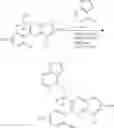 Fig. 21 - HETEROCYCLIC COMPOUNDS AND THEIR USES