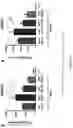 Fig. 05 - GLUCOSYLCERAMIDE SYNTHASE INHIBITORS