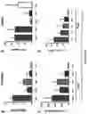 Fig. 10 - GLUCOSYLCERAMIDE SYNTHASE INHIBITORS