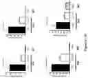 Fig. 16 - GLUCOSYLCERAMIDE SYNTHASE INHIBITORS