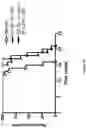 Fig. 23 - GLUCOSYLCERAMIDE SYNTHASE INHIBITORS