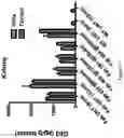 Fig. 24 - GLUCOSYLCERAMIDE SYNTHASE INHIBITORS