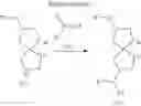 Fig. 07 - OGA INHIBITOR COMPOUNDS