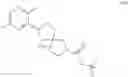 Fig. 118 - OGA INHIBITOR COMPOUNDS