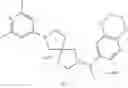 Fig. 242 - OGA INHIBITOR COMPOUNDS