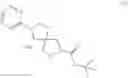 Fig. 28 - OGA INHIBITOR COMPOUNDS