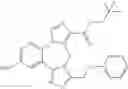 Fig. 222 - Benzodiazepine derivatives, compositions, and methods for treating cognitive impairment