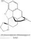 Fig. 20 - Opioid ketal compounds and uses thereof