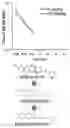 Fig. 01 - Pharmaceutical composition for preventing or treating aging-related diseases containing decursin derivative as active ingredient