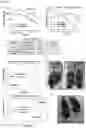 Fig. 03 - Pharmaceutical composition for preventing or treating aging-related diseases containing decursin derivative as active ingredient
