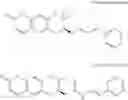Fig. 11 - Pharmaceutical composition for preventing or treating aging-related diseases containing decursin derivative as active ingredient