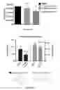 Fig. 09 - MYC MODULATORS AND USES THEREOF