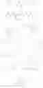 Fig. 165 - MYC MODULATORS AND USES THEREOF