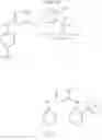 Fig. 175 - PHOSPHOROUS DERIVATIVES AS KINASE INHIBITORS