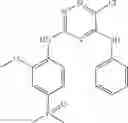 Fig. 328 - PHOSPHOROUS DERIVATIVES AS KINASE INHIBITORS