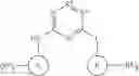 Fig. 456 - PHOSPHOROUS DERIVATIVES AS KINASE INHIBITORS