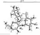 Fig. 06 - Hydrated and anhydrous polymorphs of 2′-O-fucosyllactose and their production methods