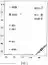 Fig. 03 - and/or antigen